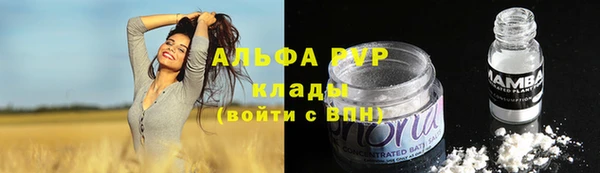прущие грибы Валуйки