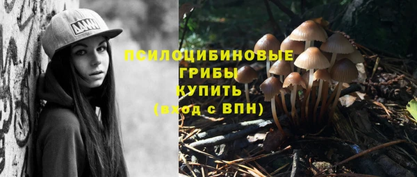 mix Осинники