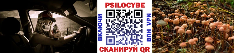 наркота  Хабаровск  Псилоцибиновые грибы MAGIC MUSHROOMS 