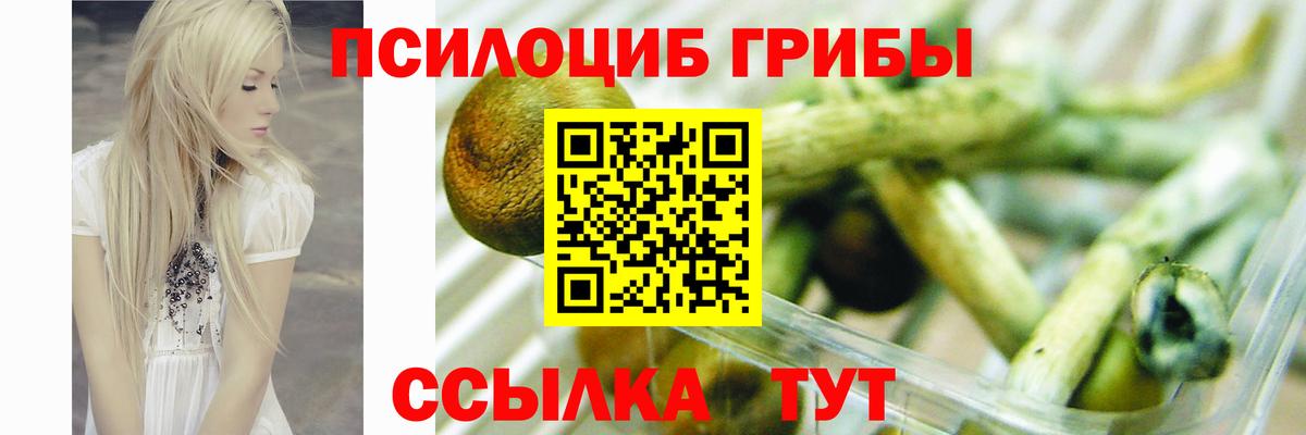 Хабаровск  Псилоцибиновые грибы мицелий  Вход с VPN 