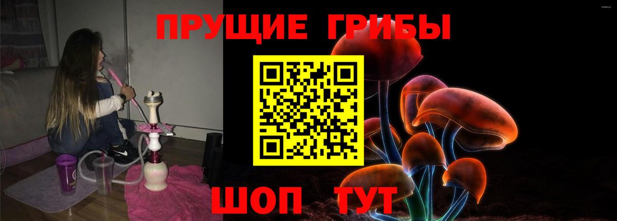 Галлюциногенные грибы Psilocybine cubensis Хабаровск